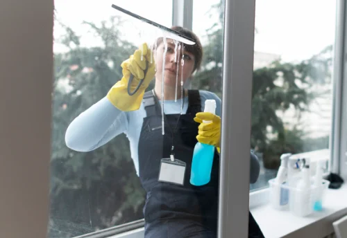 Nettoyage de vitres intérieures et extérieures à Chamborand